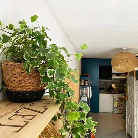 Appartement Grand Avec Terrasse à 100m Du Vieux Port